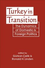 Turkey in Transition