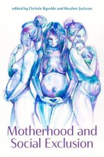 Motherhood and Social Exclusion