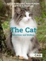 CAT THE