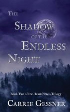 Shadow of the Endless Night