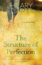 Structure of Perfection