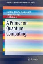 Primer on Quantum Computing