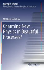 Charming New Physics in Beautiful Processes?