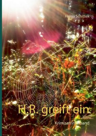 H.R. greift ein