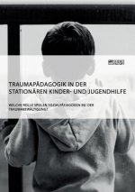 Traumapadagogik in der stationaren Kinder- und Jugendhilfe. Welche Rolle spielen Sozialpadagogen bei der Traumabewaltigung?