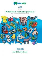 BABADADA, Chinese (in chinese script) - Plattduutsch mit Artikel (Holstein), visual dictionary (in chinese script) - dat Bildwoeoerbook