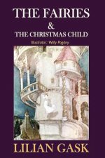 Fairies and the Christmas Child