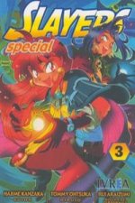 Slayers Special, 3