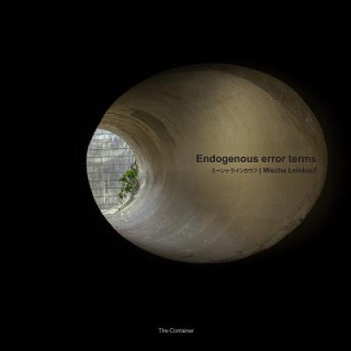 Mischa Leinkauf: Endogenous Error Terms