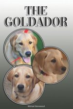 The Goldador: A Complete and Comprehensive Owners Guide To: Buying, Owning, Health, Grooming, Training, Obedience, Understanding and