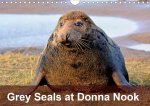 Grey Seals at Donna Nook (Wall Calendar 2020 DIN A4 Landscape)