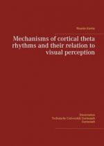 Mechanisms of cortical theta rhythms and their relation to visual perception