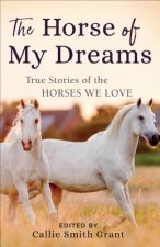 Horse of My Dreams