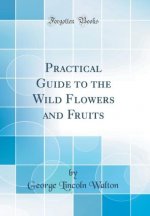 Walton, G: Practical Guide to the Wild Flowers and Fruits (C