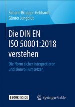 Die DIN EN ISO 50001:2018 verstehen
