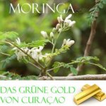 grune Gold von Curacao