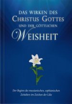 Schulte, A: Wirken des Christus Gottes