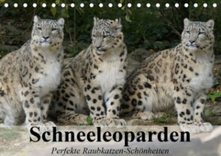 Schneeleoparden. Perfekte Raubkatzen-Schönheiten (Tischkalender 2020 DIN A5 quer)