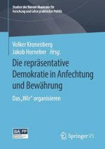 Die Reprasentative Demokratie in Anfechtung Und Bewahrung