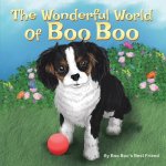 Wonderful World Of Boo Boo