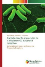 Caracterizaç?o molecular de V.cholerae O1 sacarose negativa