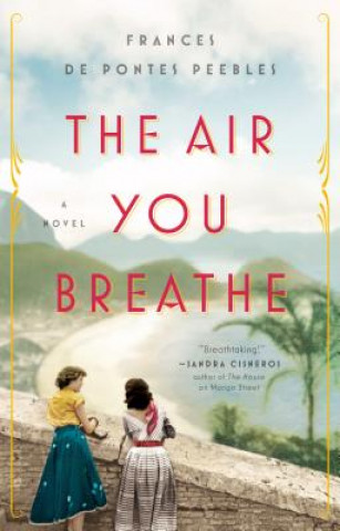 Air You Breathe (Frances De Pontes Peebles)(Brožovaná)