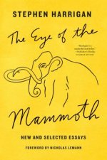 Eye of the Mammoth