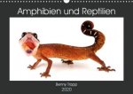 Amphibien und Reptilien (Wandkalender 2020 DIN A3 quer)