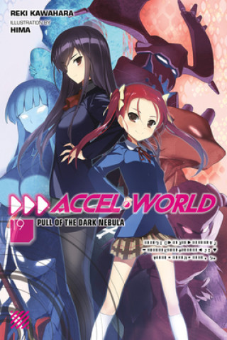 Accel World, Vol. 19 (light novel)
