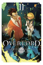 Overlord, Vol. 11 (manga)