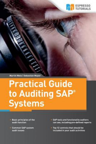 Practical Guide to Auditing SAP Systems