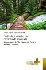 Caridade e miss?o: um caminho de santidade