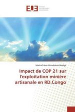 Impact de COP 21 sur l'exploitation mini?re artisanale en RD.Congo
