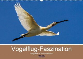 Vogelflug-Faszination (Wandkalender 2020 DIN A2 quer)