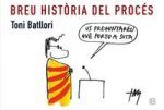 Breu historia del proces