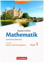 Bigalke/Köhler: Mathematik. Band 1. Analysis. Schülerbuch. Mecklenburg-Vorpommern