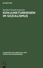 Konjunkturkrisen im Sozialismus