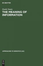 Meaning of Information