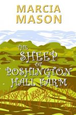 Sheep of Poshington Hall Farm