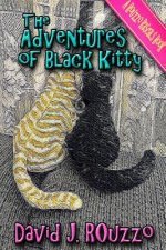 Adventures of Black Kitty