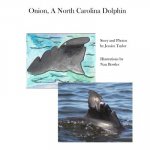 Onion, a North Carolina Dolphin