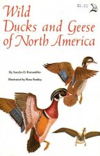 Wild Ducks and Geese of North America