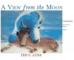 View from the Moon (Hardcover)