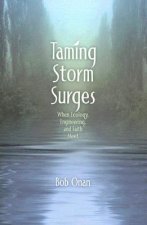 Taming Storm Surges