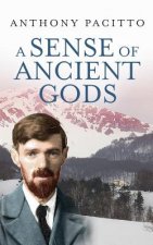 Sense of Ancient Gods