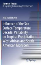 Influence of the Sea Surface Temperature Decadal Variability on Tropical Precipitation: West African and South American Monsoon
