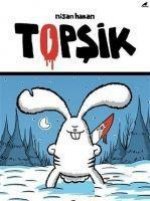 Topsik
