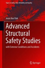 Advanced Structural Safety Studies