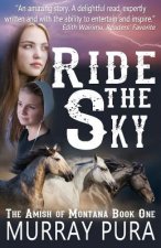 Ride the Sky