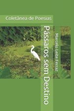 Pássaros sem Destino: Coletânea de Poesias